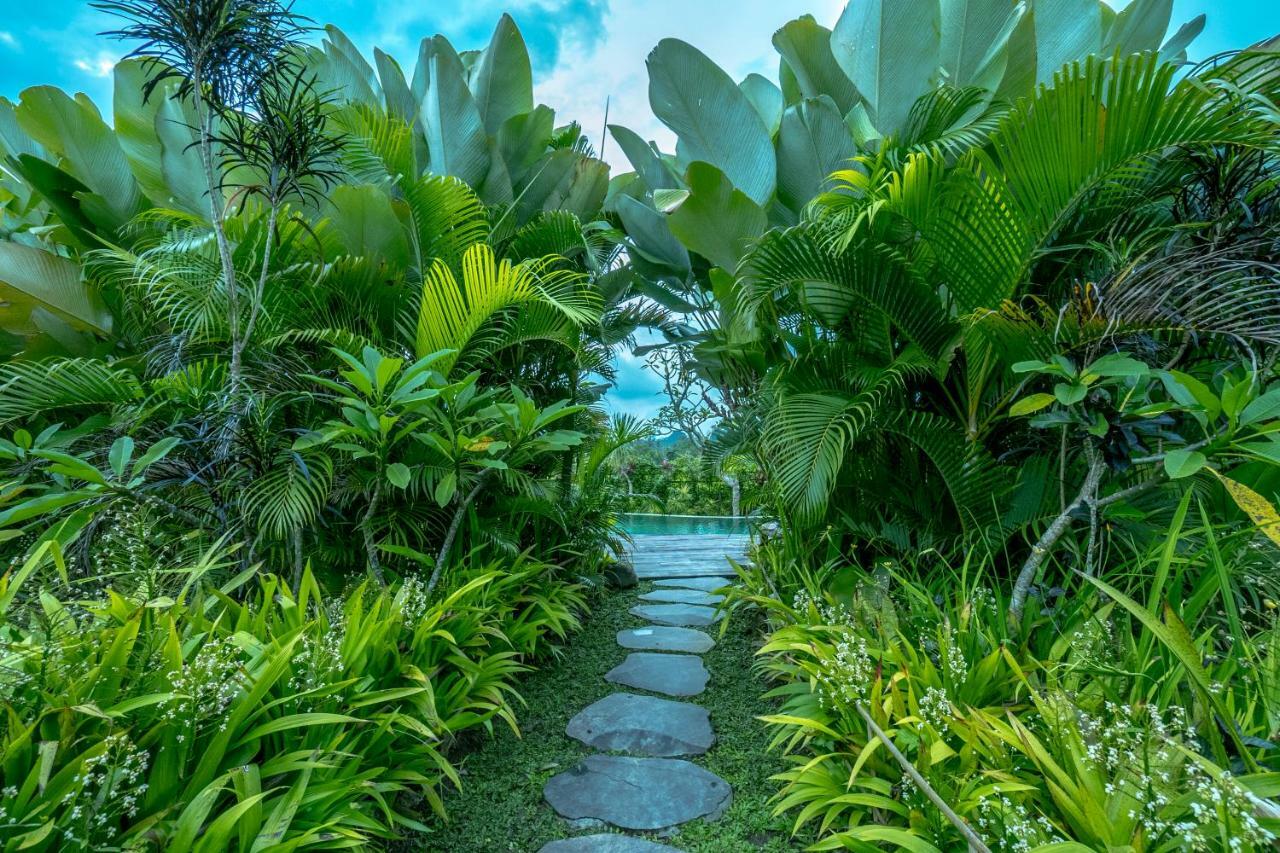 Malaya Villas Ubud Tegallalang  Bagian luar foto