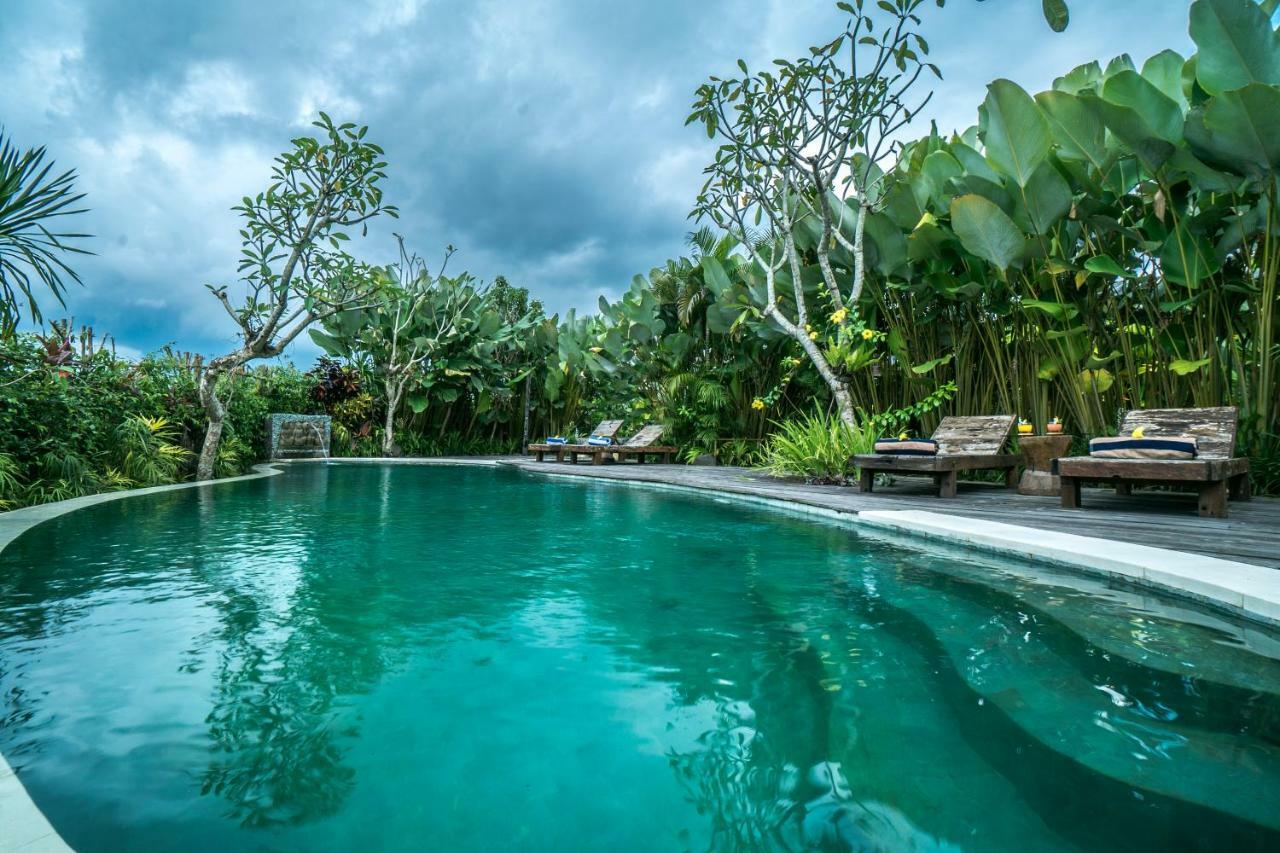 Malaya Villas Ubud Tegallalang  Bagian luar foto